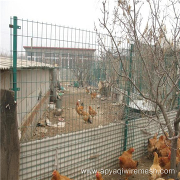 Galvanized Steel Welded Wire Mesh for Chicken Cages